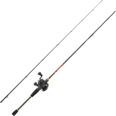 Ensemble casting Daiwa Megaforce