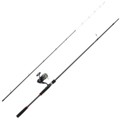 Kit pesca tenya Daiwa Legalis