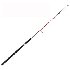 Canna da pesca mare TenRyu Fiber Jig