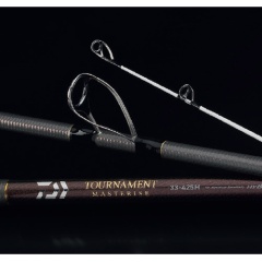 Canna da pesca à pêche Daiwa Torneo Masterise - 4.25M 100-225gr