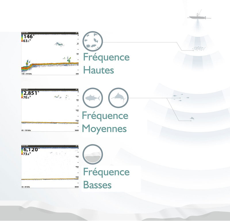 Frequenze dell'ecoscandaglio