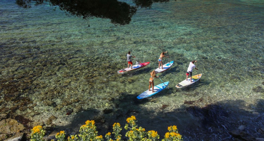 stand_up_paddle_fanatic