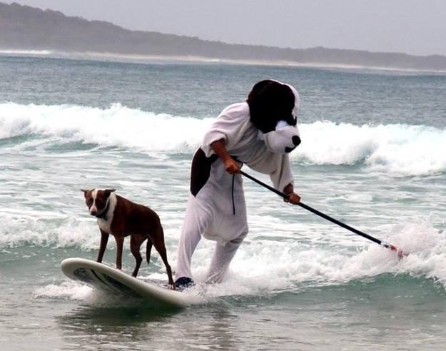 stand up paddle con cane