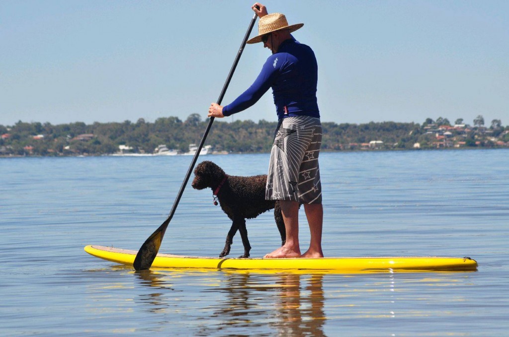 sup con cane insolito