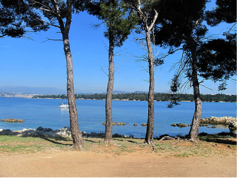 Dove fare sup paddle cannes paddle stand up cannes