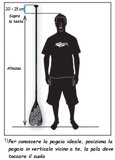 dimensione pagaia stand up paddle