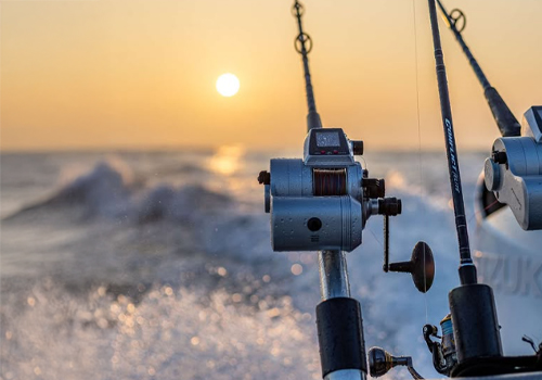 Canna da casting canna da casting