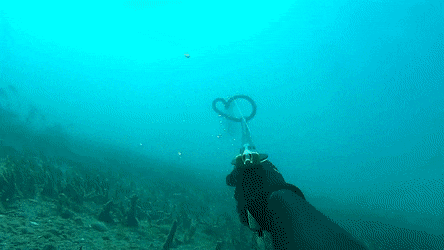 Pesca Subacquea e Fucile subacqueo