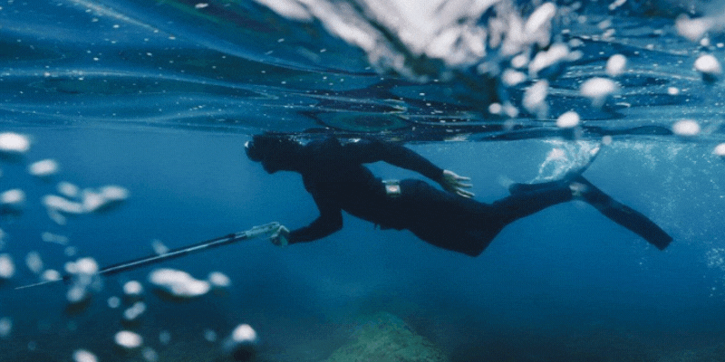 Comprare fucili da pesca