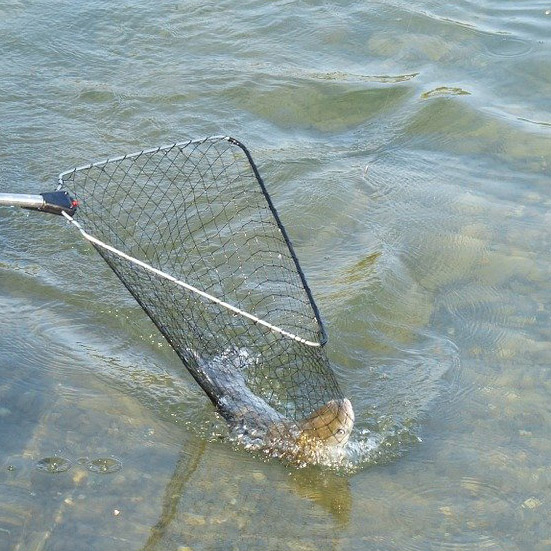 Pack float tube Guadino pesca belly boat