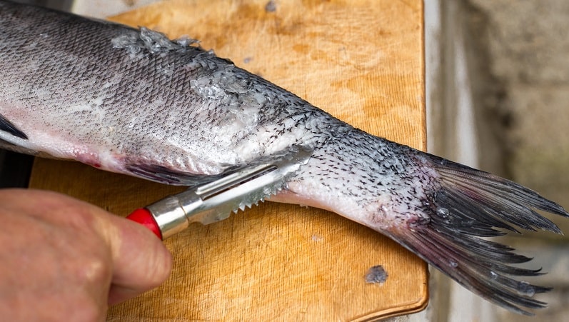 squamatore per pesci ablatore per pesci