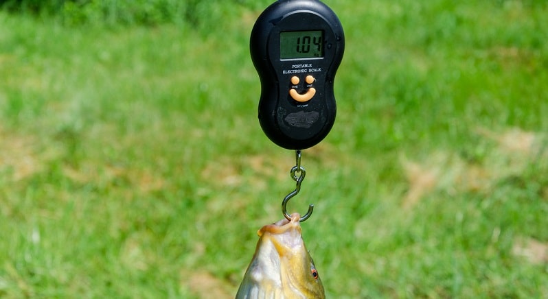 Bilancia da pesca da pesca bilancia da pesca da pesca