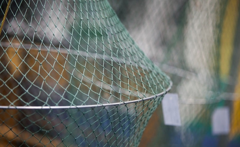 bilancia gamberetti gambero di fiume