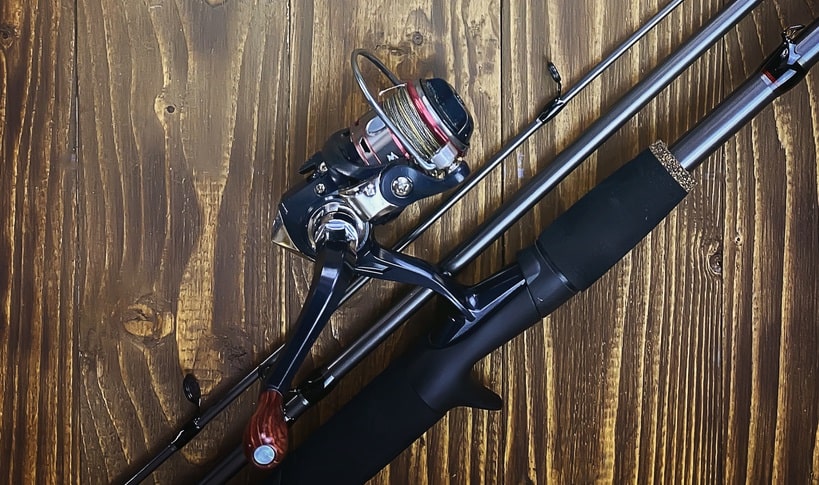 canna da pesca innesti canna da pesca innesti