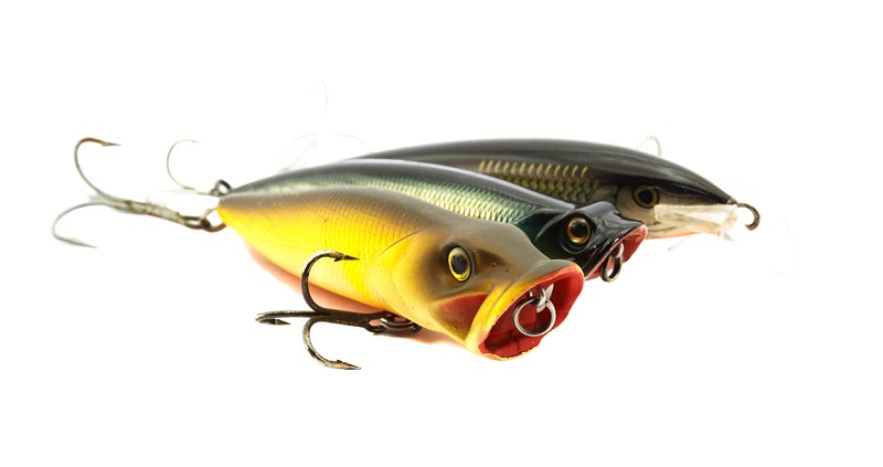 esca di superficie Esca di superficie