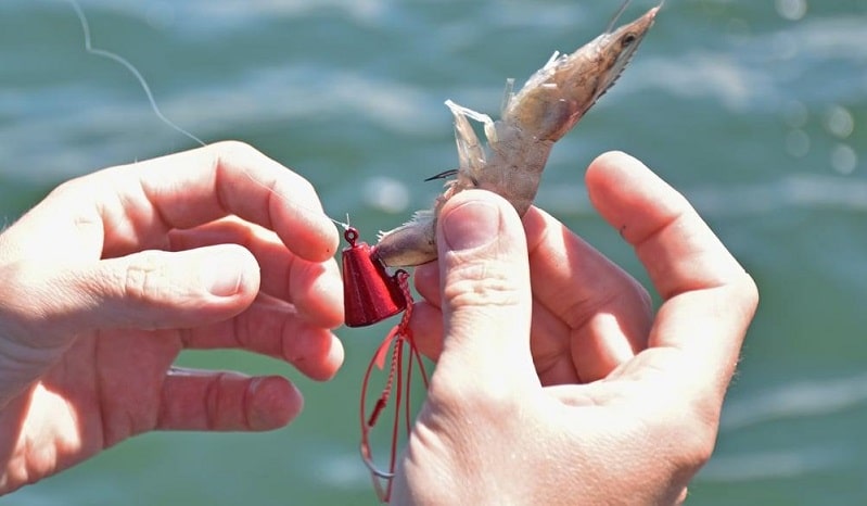 pesca a tenya Pesca a Tenya