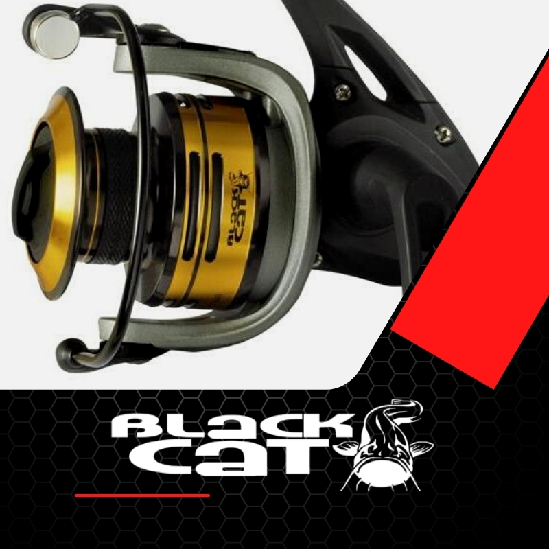 mulinello silure black cat