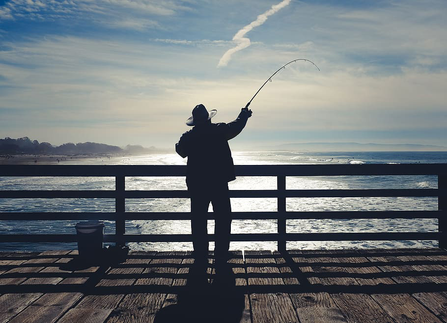 Canna da surfcasting
