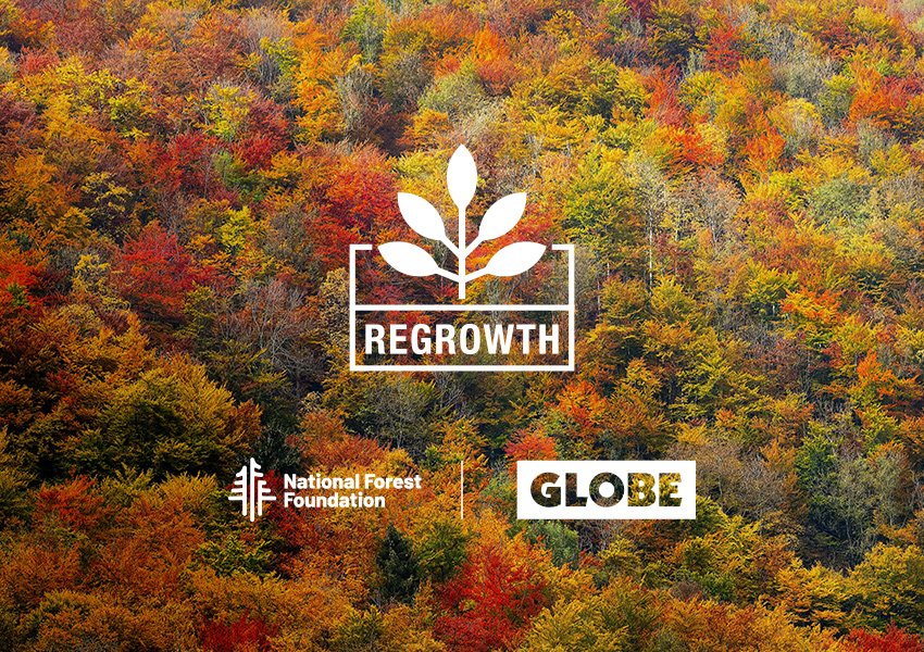 globe REGROWTH